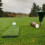 SPURK GOLF Winter Strike Mat (Fairway protection and practice) 8