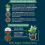 Westland Houseplant Potting Mix 4L 2
