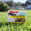 Tomcat Mole Killer(a) - Worm Bait - Includes 10 Worms per Box - Mimics a Mole's Natural Food Source - Ready-to-Use Mole Killer - Effective Against Mo 4