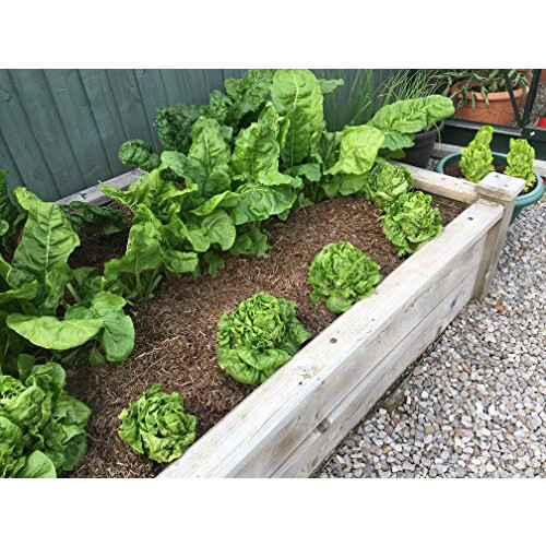 Strulch Mineralised Straw Mulch 100L 2