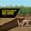 Tomcat Mole Killer(a) - Worm Bait - Includes 10 Worms per Box - Mimics a Mole's Natural Food Source - Ready-to-Use Mole Killer - Effective Against Mo 6