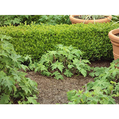 Strulch Mineralised Straw Mulch 100L 1