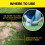 Tomcat Mole Killer(a) - Worm Bait - Includes 10 Worms per Box - Mimics a Mole's Natural Food Source - Ready-to-Use Mole Killer - Effective Against Mo 7