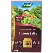 Westland 20600007 1.5 kg Epsom Salts Foliage Greener Fertilizer - Transparent