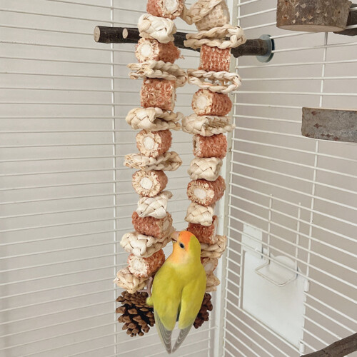 Eco-Friendly Parrot Toy - Corn Cob & Pine Cone Boredom Relief Accessory 2