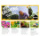 Miracle-Gro Miracle-Gro Peat Free Orchid - 10L 6