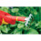 WOLF Garten Wolf Garten LJM 8 cm Multi-Change Small Rake 2
