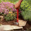 WOLF Garten Wolf Garten LJM 8 cm Multi-Change Small Rake 4