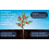 Westland Westland Multi Purpose Peat Free Compost with John Innes 10L 2