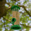 Gardman Gardman Seed Mix for Wild Birds, 4 kg 4