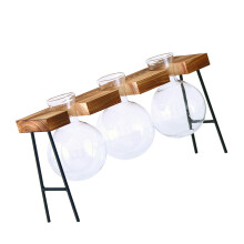 Hydroponics Plant Glass Bulb Vase with Wooden Tray Glass-3