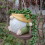 Pots de fleurs de Gnome pour plantes d'intérieur et-B 7