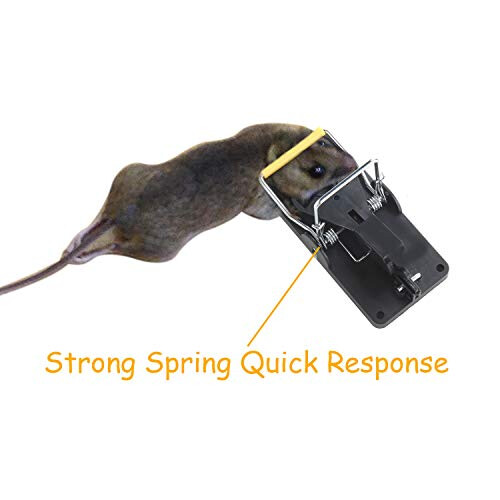 Aopaeoie Mouse Traps That Work, 6 Pack 2