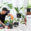 ACCURATE 1.5 Litre Indoor Watering Can (WHITE) 3