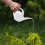 ACCURATE 1.5 Litre Indoor Watering Can (WHITE) 6