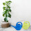 ACCURATE 1.5 Litre Indoor Watering Can (WHITE) 5