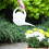 ACCURATE 1.5 Litre Indoor Watering Can (WHITE) 2