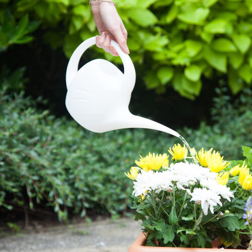 ACCURATE 1.5 Litre Indoor Watering Can (WHITE) 1