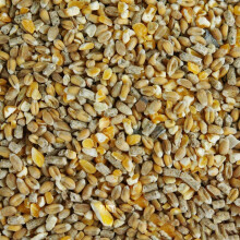 BusyBeaks Chicken Corn Extra | Premium Grade Poultry Feed | Nutritious Oyster Shell, Layers Pellets, Fibre Wheat & Split Maize | High Energy, Protein