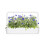 Click and Grow Plant Pods Refill 3 Pack Pod (Cornflower) 3