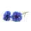 Click and Grow Plant Pods Refill 3 Pack Pod (Cornflower) 2