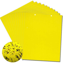 Yellow Sticky Fly Traps,Fly Paper Stickers,Sticky Fly Catchers Dual-Side for Insect against Fungus Gnats, Whiteflies, Aphids, Leafminers,etc- (6x8 In