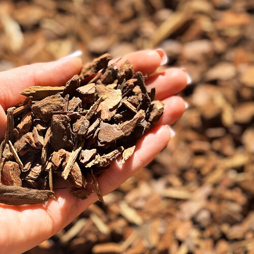 Premium Orchid Care Repotting Bark Soil Compost Mix (2L) 1