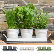 CKB LTD Set of 3 Metal Herb Plant Pots with Drip Tray Traditional Indoor Windowsill Coloured Planter Box for The Kitchen Grow Your Own Herbs for Cook