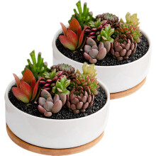 disdain Plant Flower Pots Indoor, 2-pack Set Ceramic Flower Pots Planter, white Ceramic Plant Pot Small Round Plant Pots for Home Office Decoration