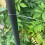 Tildenet 30m/ 1mm Galvanised Wire Coil, Silver 3