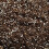 Carnivorous Plant Potting Mix - Enriched with Nutrients (20L) 2