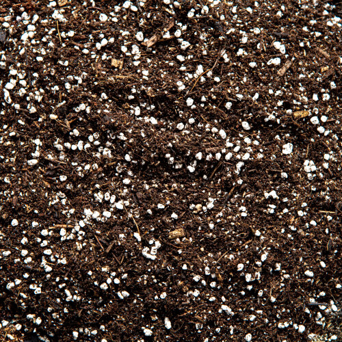 Carnivorous Plant Potting Mix - Enriched with Nutrients (20L) 1