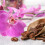Premium Orchid Care Repotting Bark Soil Compost Mix (2L) 4
