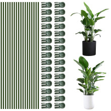 Plant Stake Clip Set Green, Plant Sticks Supplies Support Tall, Useful Support Clips, Fine Workmanship Allow Bending Suitable for Various Plant Pots
