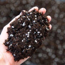 Premium Houseplant Potting Mix with activated Biochar (15L)