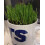 Cat FurNature - Cat Grass Seeds - Oat 7