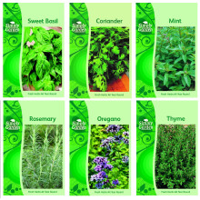 HERB COLLECTION 4- selection of 6 Fresh Herb Seeds Oregano, Coriander, Sweet Basil, Mint, Rosemary & Thyme