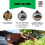 Coco & Coir Houseplant Compost Parent (18L) 4
