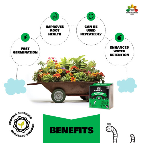 Coco & Coir Houseplant Compost Parent (18L) 2
