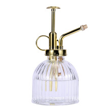 Eidoct Glass Plant Mister Spray Bottle, Clear Water Bottle with Gold Top Pump Small Watering Can, Sprayer for Indoor Outdoor House Plant, Clear+Gold