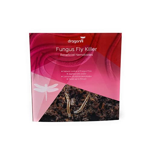 Dragonfli Sciarid/Fungus Fly Killer Nematodes 10 Square Metre Pack