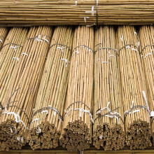 FlickBuyz Gardens Strong Thick Heavy Duty Professional Bamboo Plant Support Garden Canes (100, 5FT, 8-10MM)