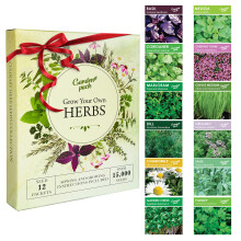 Garden Pack Herb Seeds for Planting & Outdoors, 12 Varieties, 15000 Heirloom Seeds Multipack Ready to Grow Starter Kit to Grow Aromatic Basil, Corian