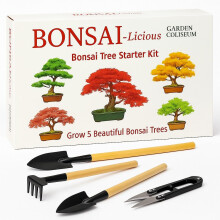 Bonsai Tree Kit - Grow Your Own Bonsai Tree Kit. Sustainable ECO Gardening Gift +Tool Set. Seed Germination Starter Kit with 6 Seed Species to Grow.
