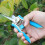 FLORA GUARD Micro-Tip Pruning Snip, 6.5 Inch Secateurs with Soft-Touch Handle, Pruning Shears, Stainless Steel (Blue) 5