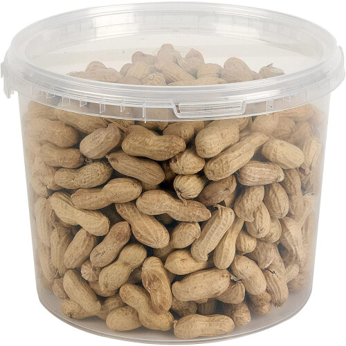 Premium Peanuts In Shell Monkey Nuts 3L Tub