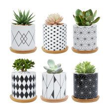 FORAGIFT 7.5CM Succulent Plant Pot, Ceramic Geometric Pattern Cactus Plants Pot, Small Plant Pots for Indoor Outdoor Plants with Bamboo Tray, and Gre
