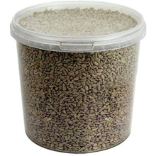 GardenersDream Sunflower Hearts Bird Food (1L Tub) - Premium Seed Mix - Bakery Grade, Husk-Free, No Mess- Healthy, Balanced Bird Feed with Vitamin B-