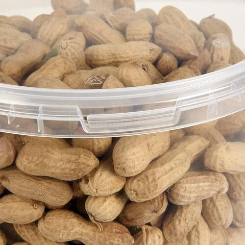 Premium Peanuts In Shell Monkey Nuts 3L Tub 1