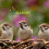 Garden Ting Sunflower Hearts 5L Refill 4